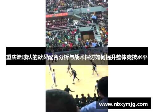 重庆篮球队的默契配合分析与战术探讨如何提升整体竞技水平