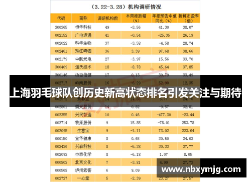 上海羽毛球队创历史新高状态排名引发关注与期待