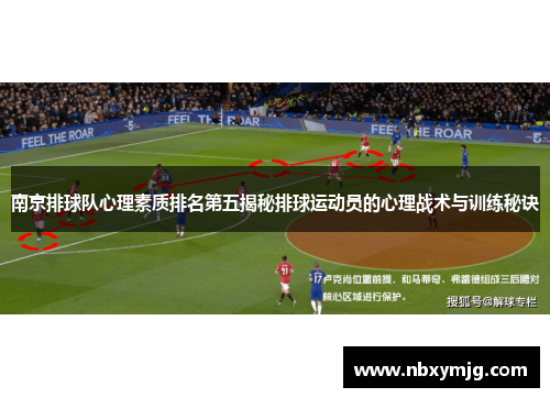 南京排球队心理素质排名第五揭秘排球运动员的心理战术与训练秘诀