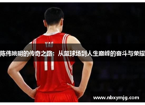 陈伟姚明的传奇之路：从篮球场到人生巅峰的奋斗与荣耀